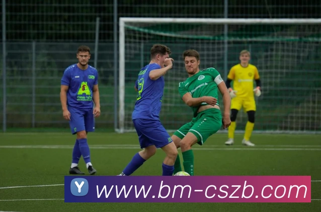 App Interface Preview