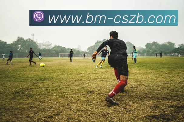 彩神争霸APP 封面图